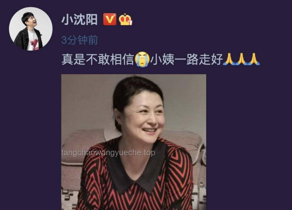 一开始，新旧项目启动情感对比：自豪与感动并存